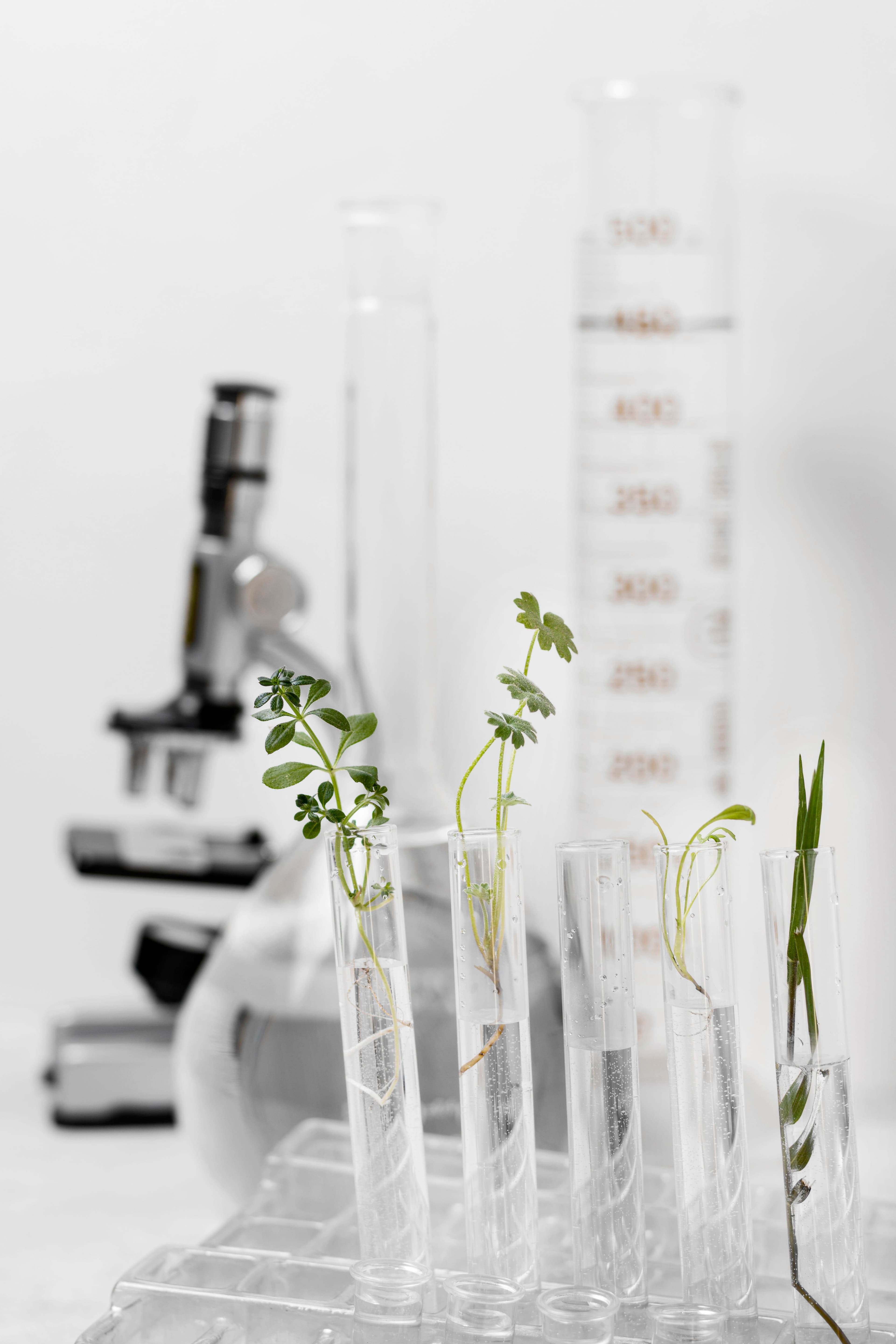 Innovación Científica